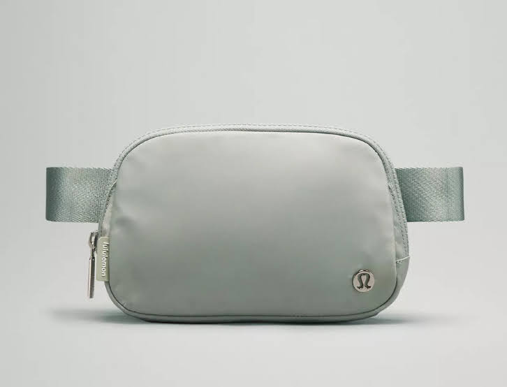 EVERYWHERE BELT BAG